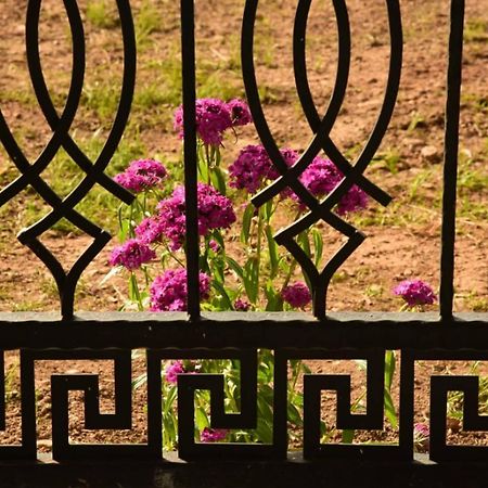 Lmm Apartmani Plav Dış mekan fotoğraf